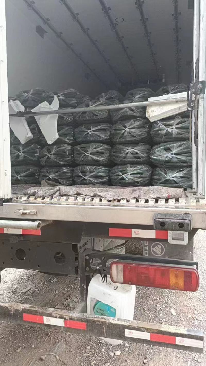 黄瓜，产地直销，量大从优，价格随行就市，可视频看货