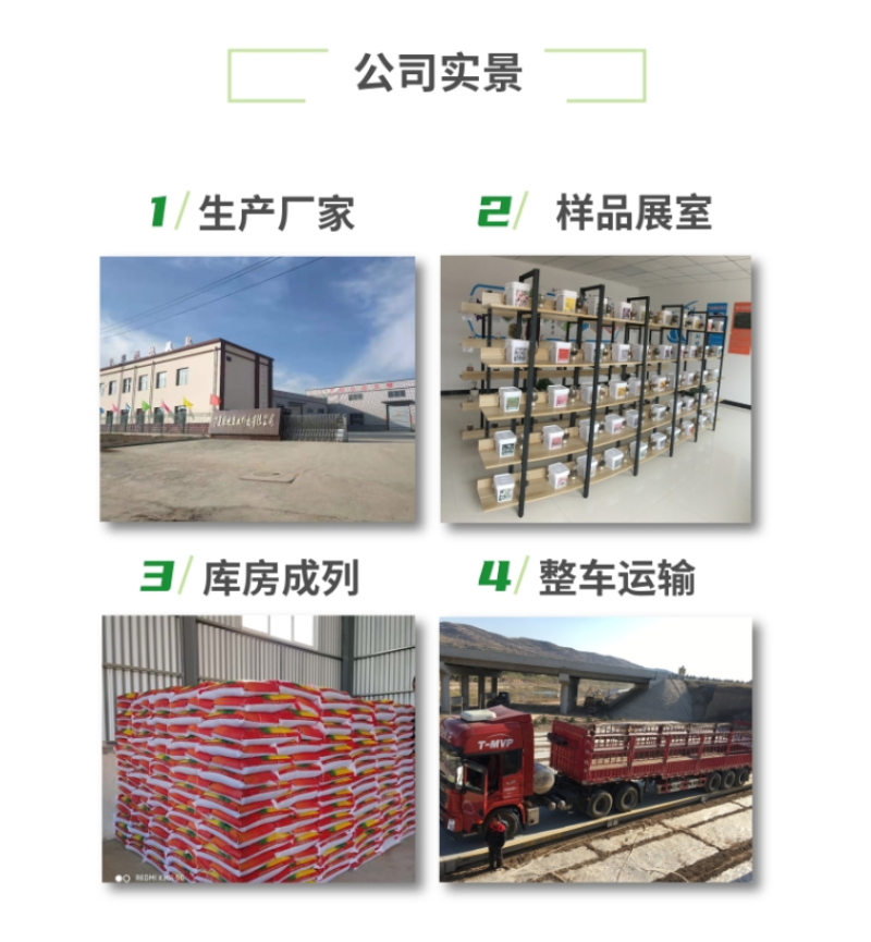 柠条种子锦鸡儿白柠条种子沙地荒漠西北黄花植物防沙宁夏固沙