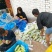 山西西葫芦大量上市货源产地直供品质好