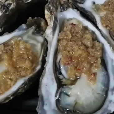 《好品山东乳山生蚝～可以生吃的牡蛎》我负责分享.您负