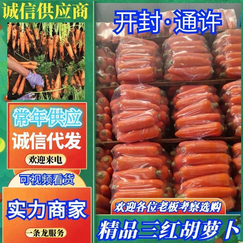 精品三红红萝卜，全国发货，量大从优，价格合理