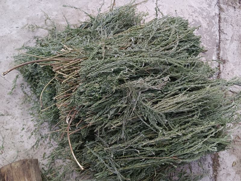 夜关门，新鲜货，干货，现货上午十一点前下单发货，十一点
