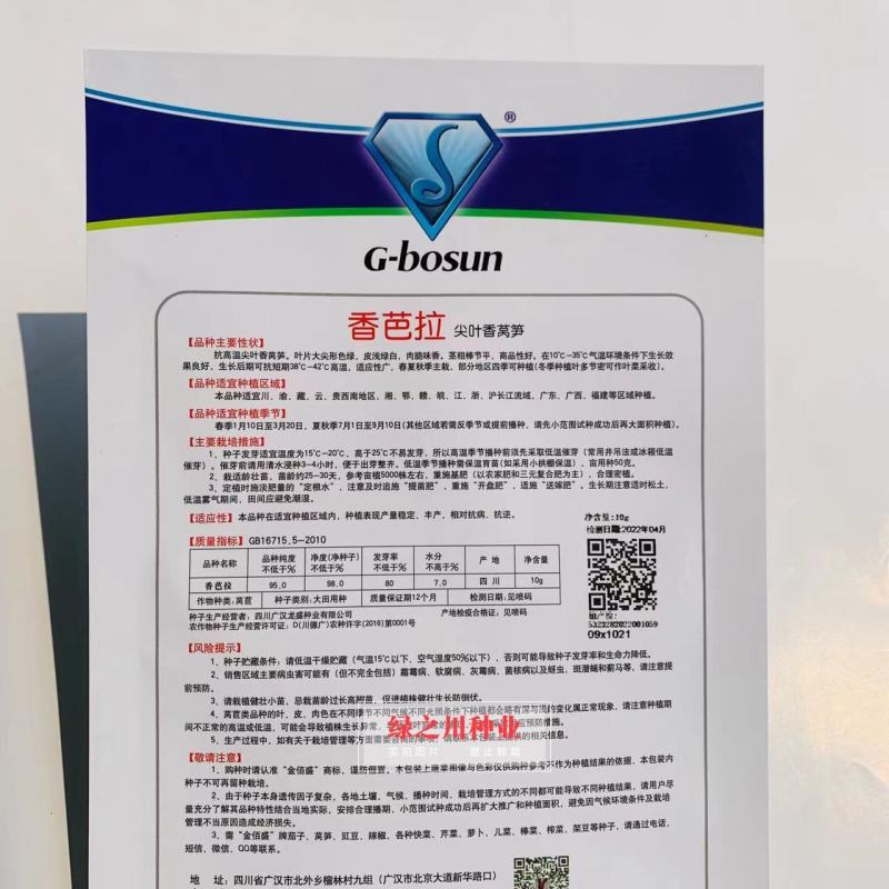 抗高温莴笋种子金佰盛香芭拉尖叶香莴笋种子春夏秋莴苣种子