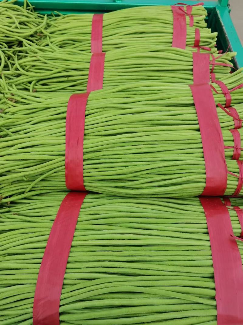精品长豆角河北豆角，产地直发，量大从优，全国发货