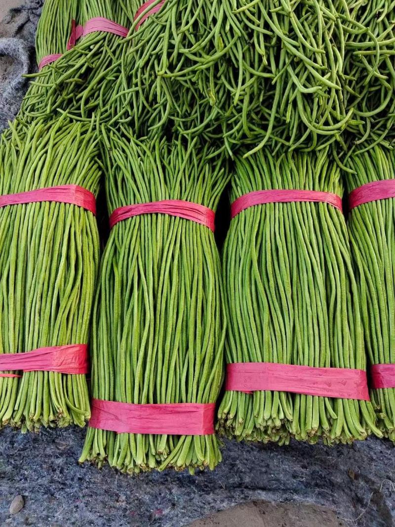 精品长豆角河北豆角，产地直发，量大从优，全国发货