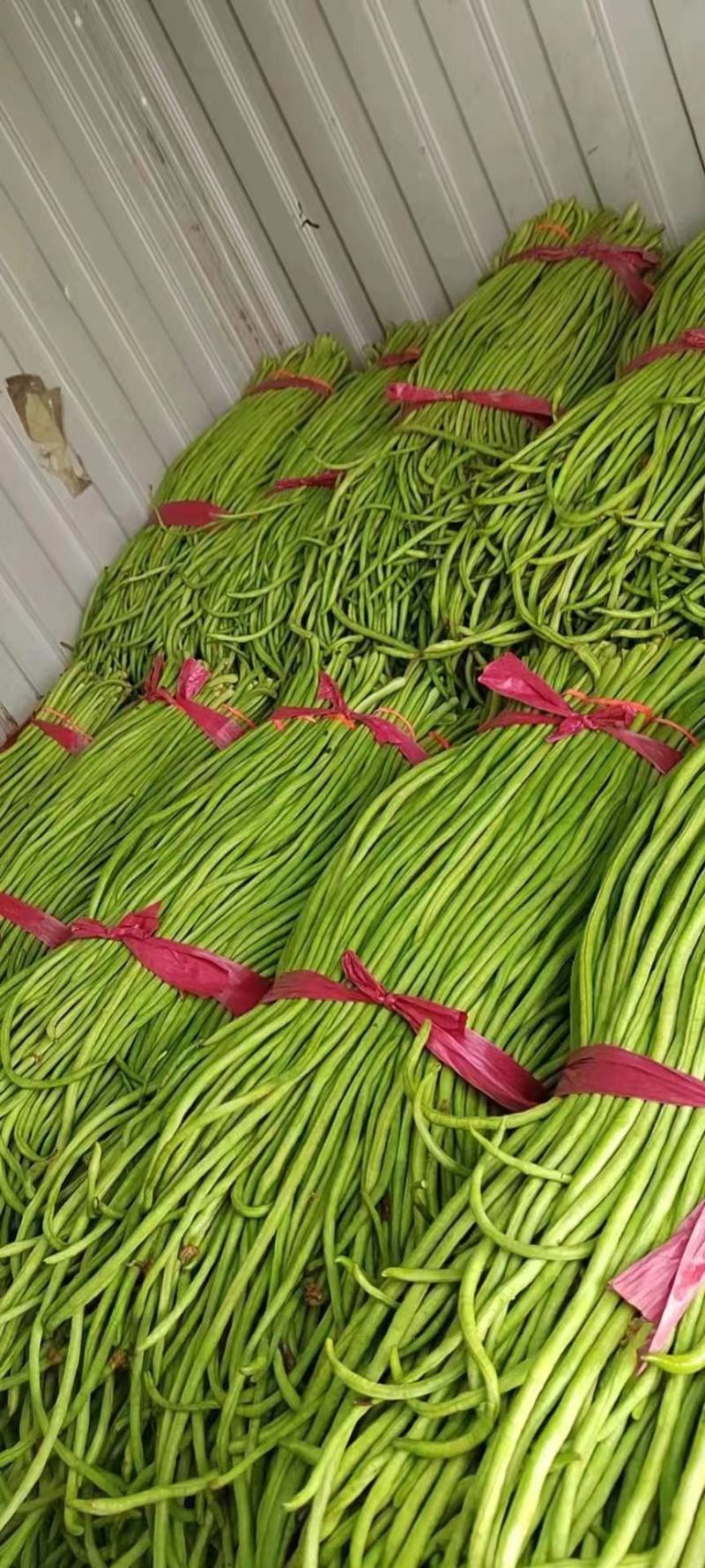精品长豆角河北豆角，产地直发，量大从优，全国发货