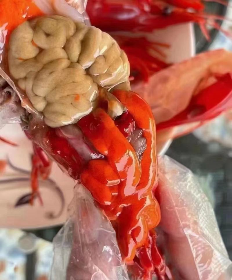 精品红魔虾源头供应链，专业一件代发