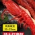 精品红魔虾源头供应链，专业一件代发