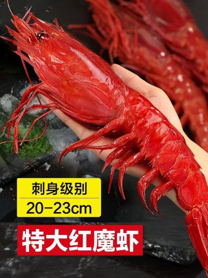精品红魔虾源头供应链，专业一件代发