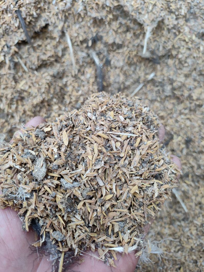 稻壳鸡粪