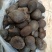 乌灵参鲜货，（鸡枞胆）鲜货，