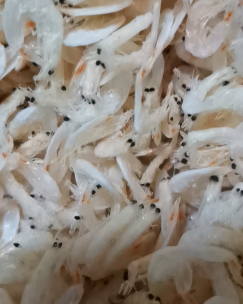 干海产