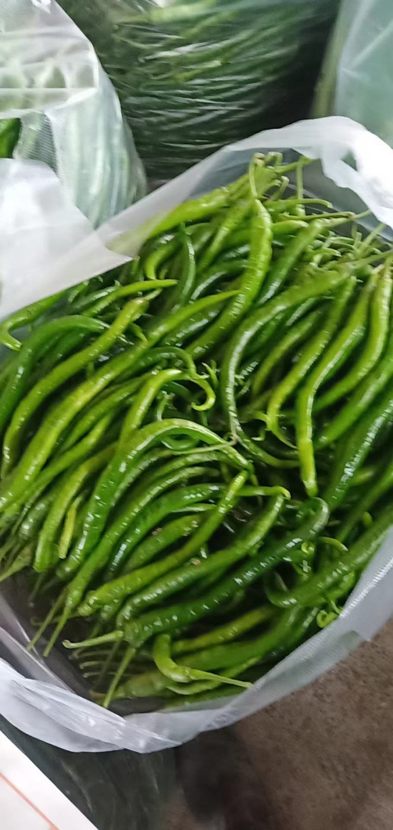 线椒