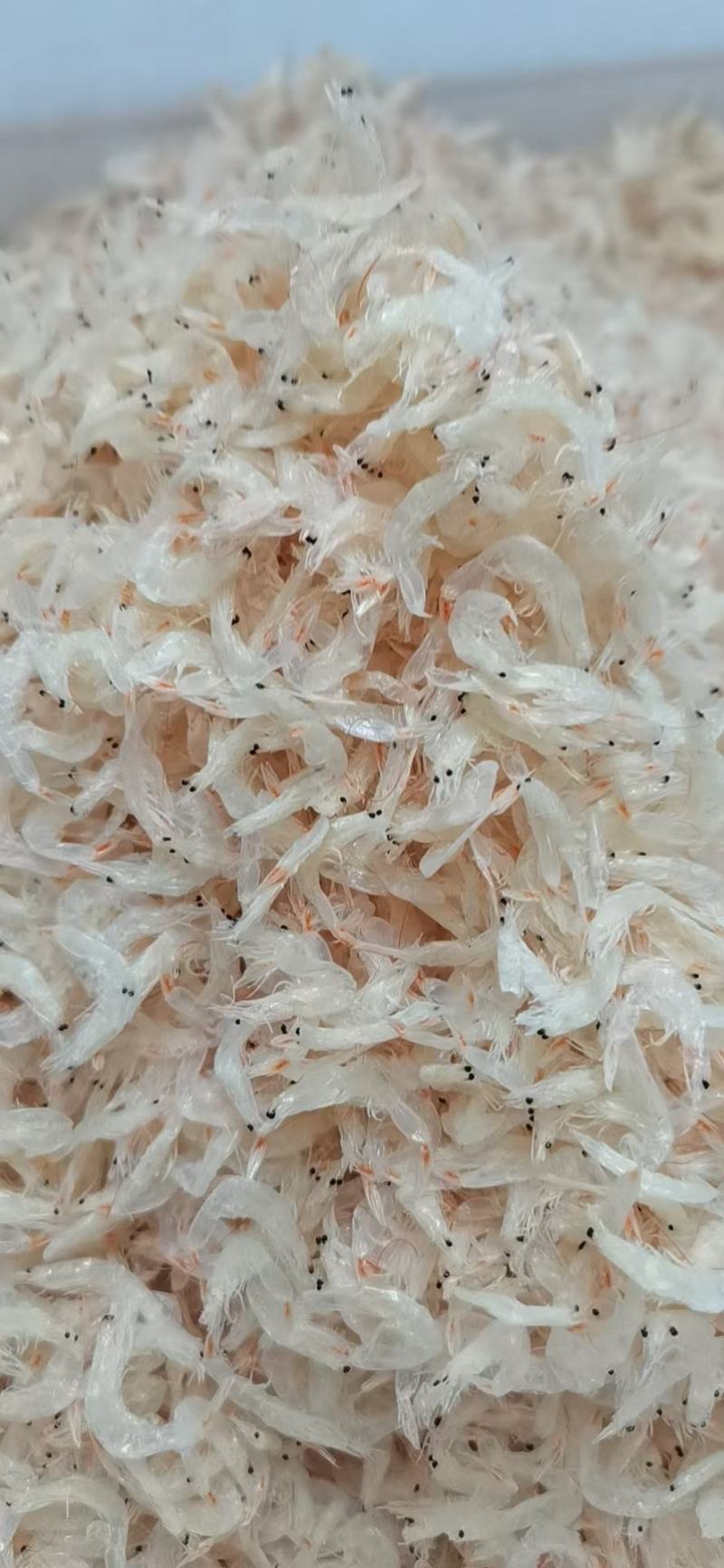 一件代发淡干无盐虾皮质量有保证