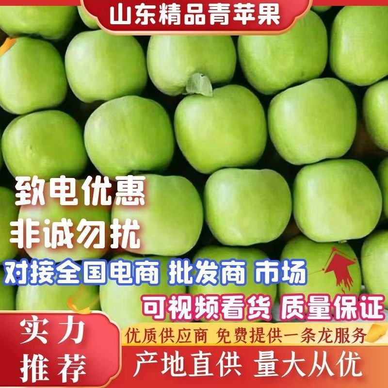 青苹果藤木红露，辽伏苹果60mm以上光果一手货源