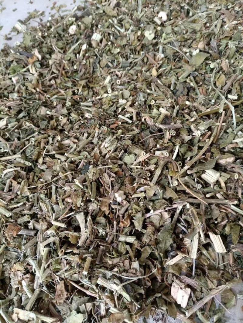 南板蓝根云南产地批发包检板蓝根高含量南板蓝根