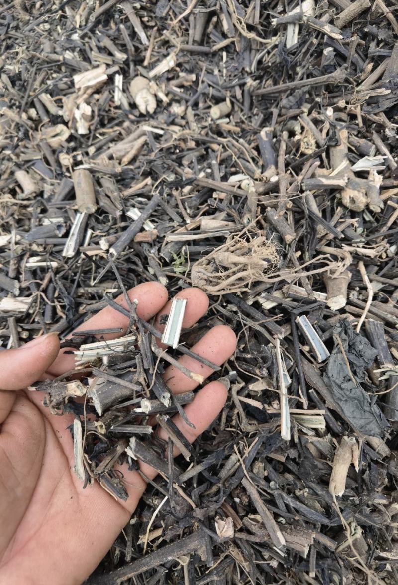 南板蓝根云南产地批发包检板蓝根高含量南板蓝根