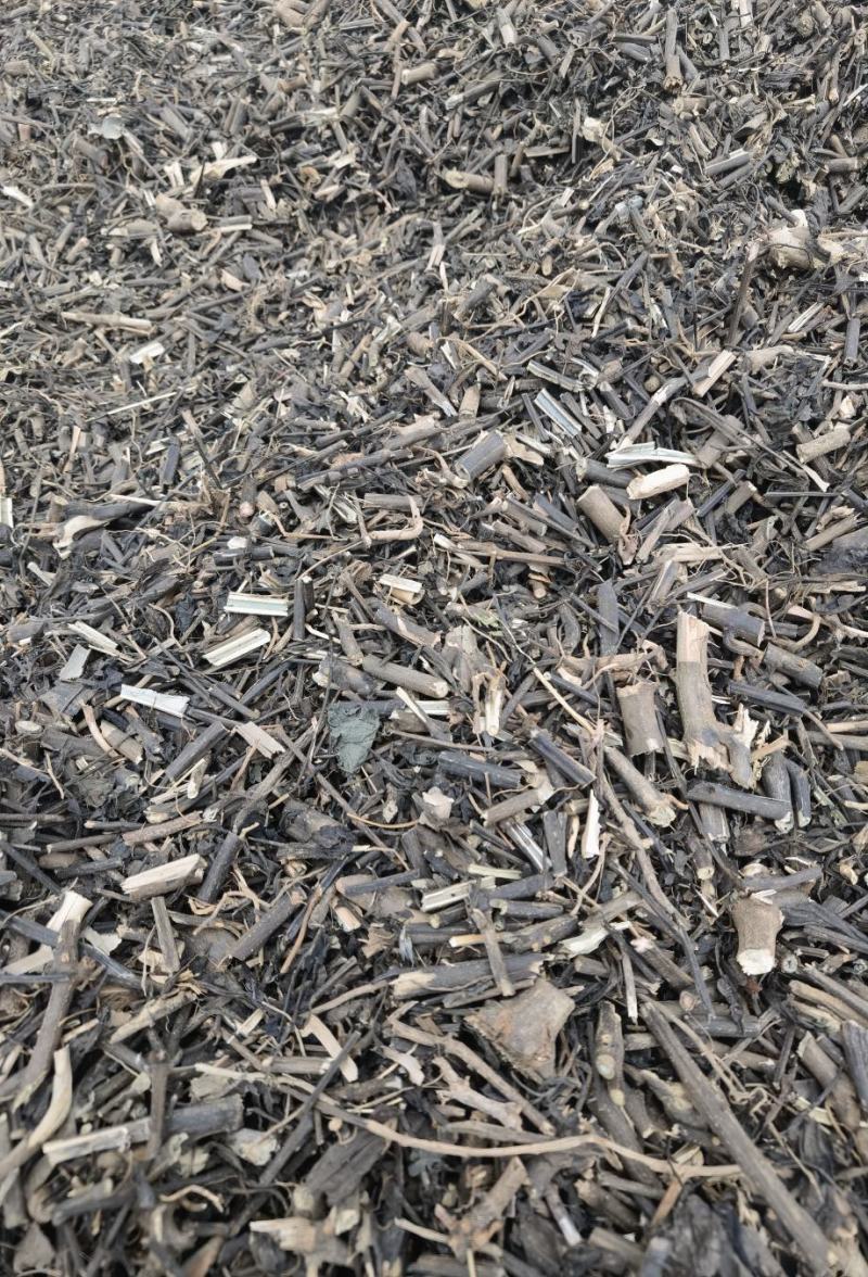 南板蓝根云南产地批发包检板蓝根高含量南板蓝根