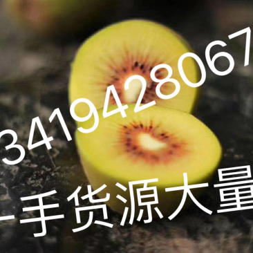 红心猕猴桃大量一手货源猕猴桃