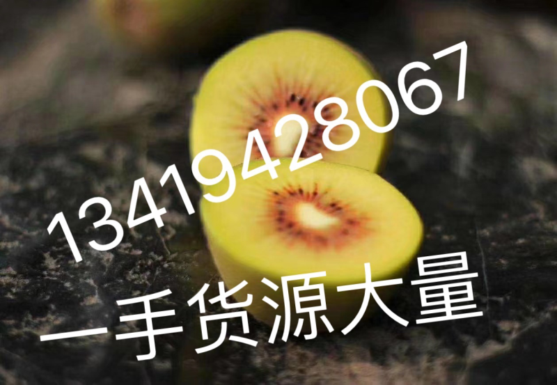 红心猕猴桃大量一手货源猕猴桃