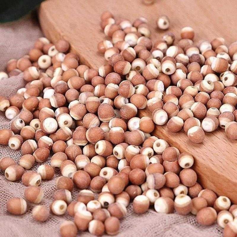 芡实干货正宗红皮广东肇实欠实野生鸡头米新货批发茨实干货