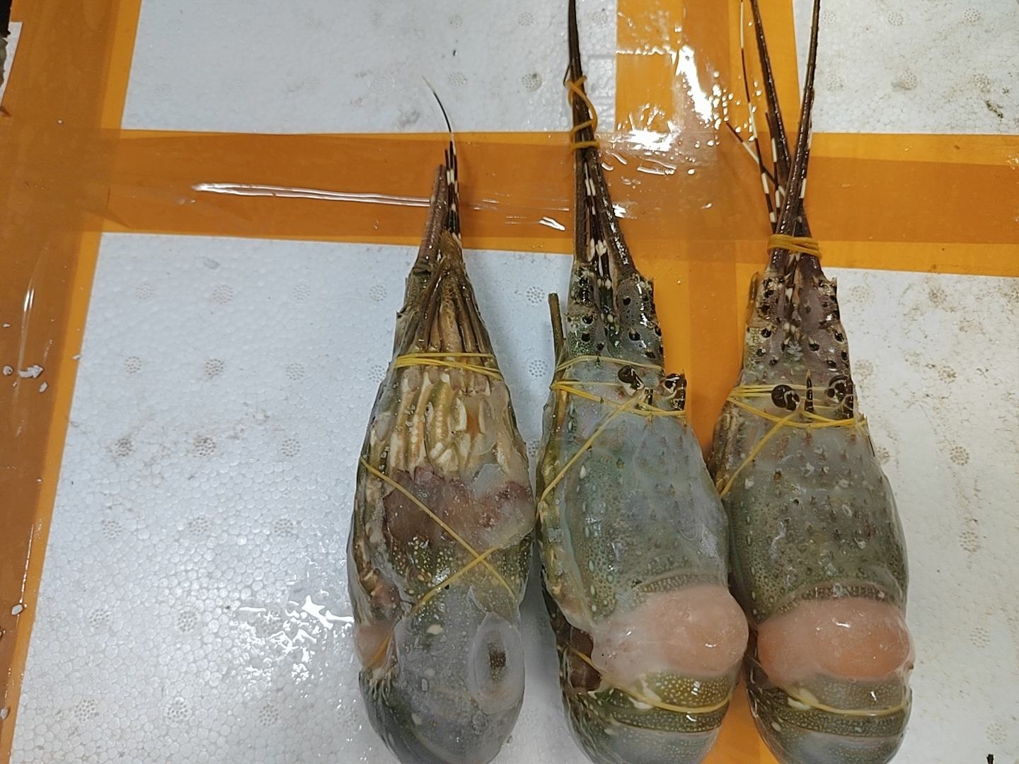 小龙虾清洗与剪虾步骤