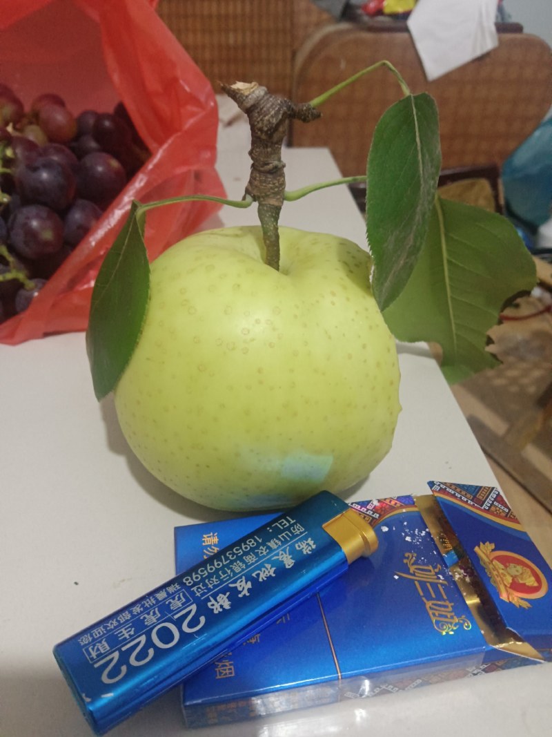皇冠梨泗水，大梨，莱阳梨鸭梨绿宝石