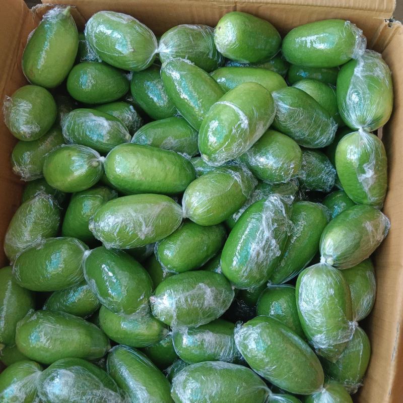 台湾香水柠檬