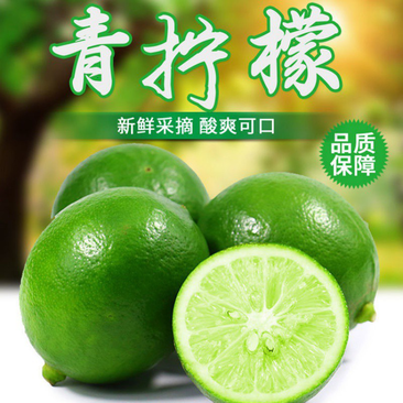 新鲜北京青柠檬海南青柠檬皮薄多汁1斤也是批发价电商代发