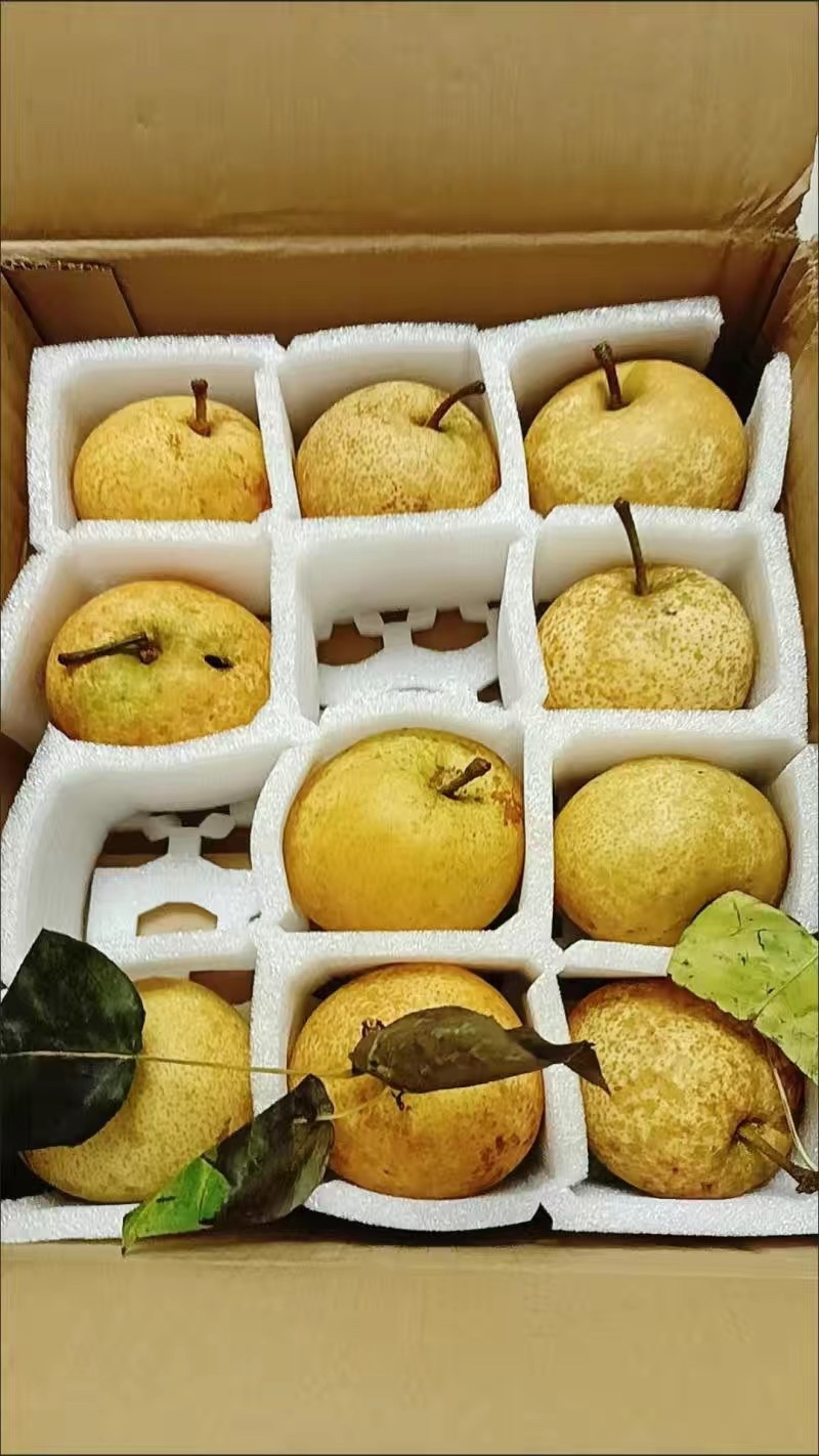 广西桂林黄花梨桂花梨电商一件代发，产地货源直发