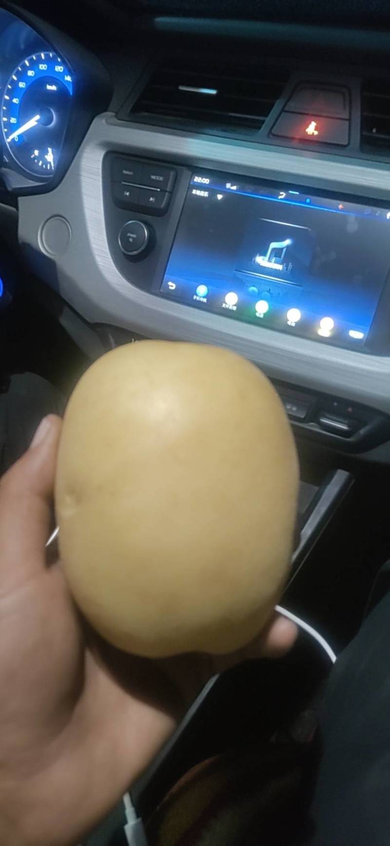 陕北基地土豆大量上市