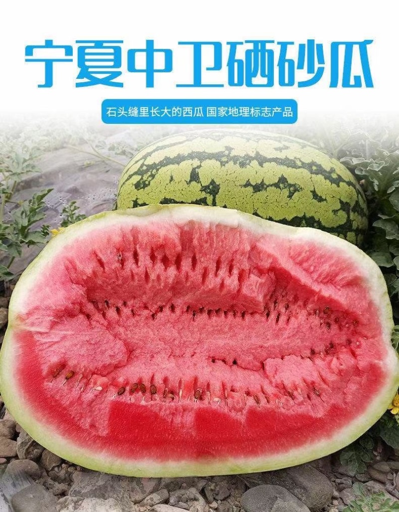 宁夏中卫香山硒砂瓜现已上市，代收代发全国一条龙服务，