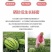 宁夏中卫香山硒砂瓜现已上市，代收代发全国一条龙服务，