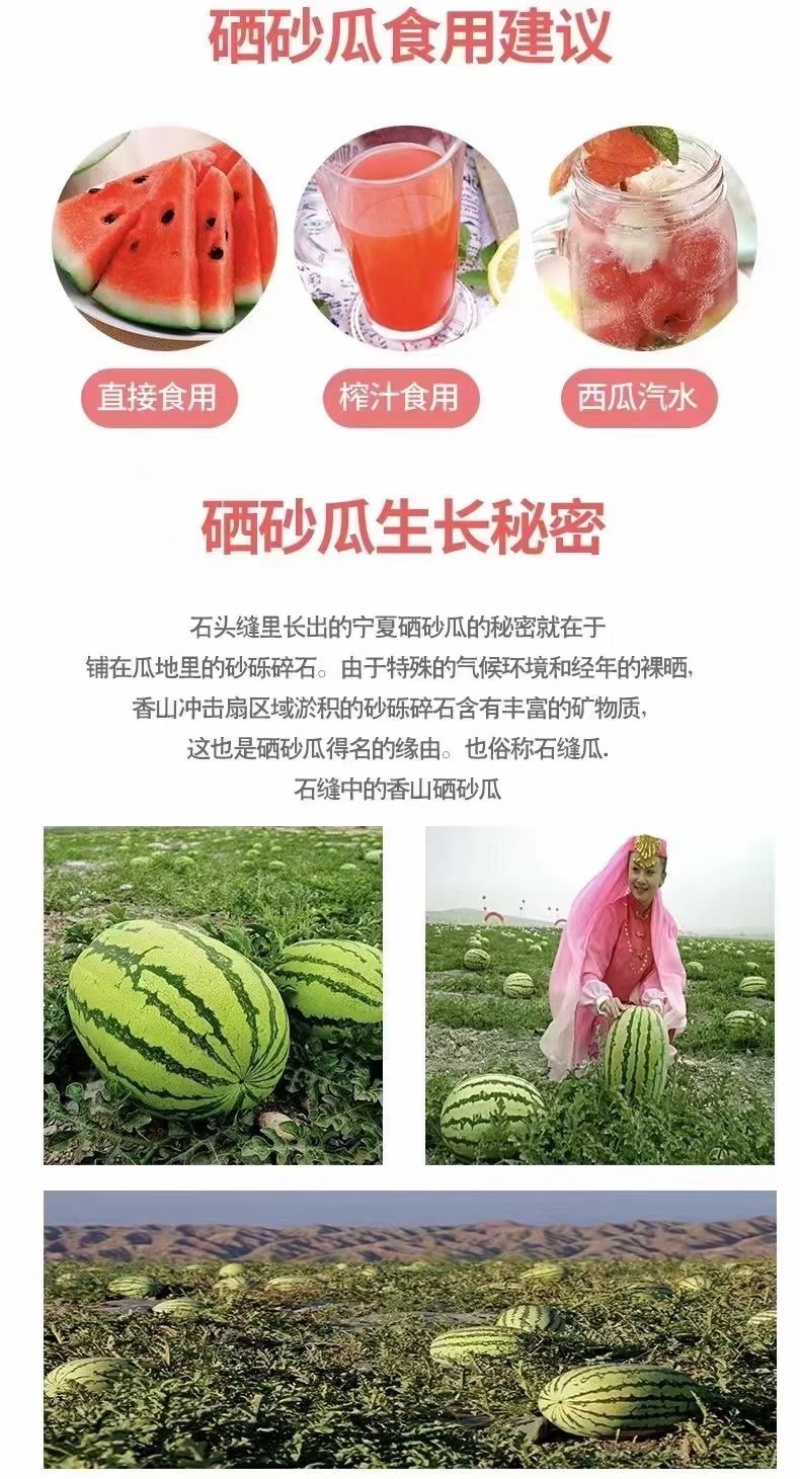 宁夏中卫香山硒砂瓜现已上市，代收代发全国一条龙服务，