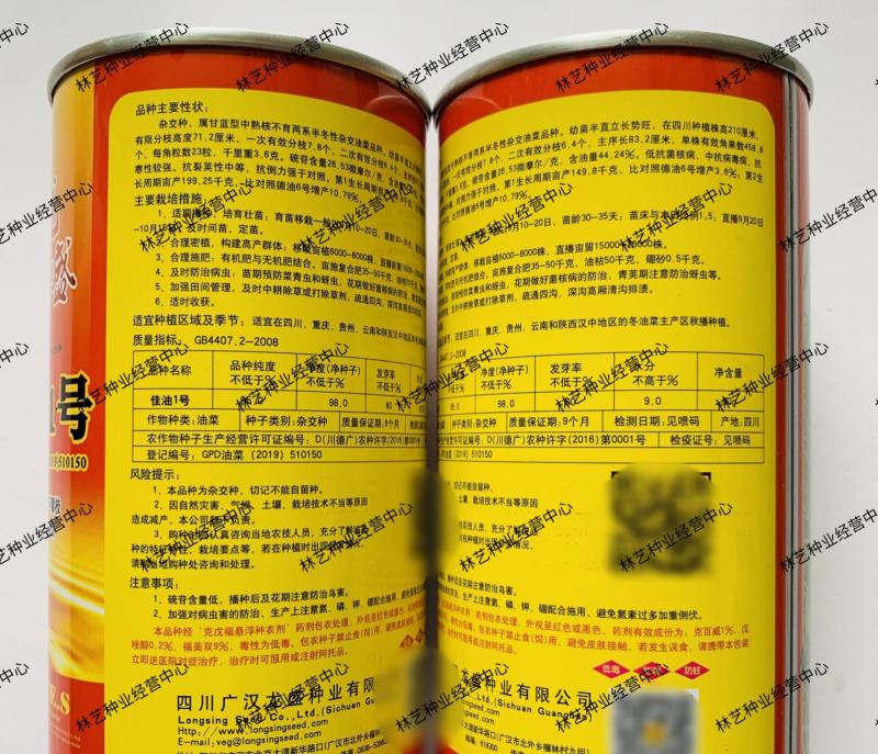 四川龙盛佳油1号油菜籽种子胖荚大籽高油抗倒伏农家秋播油菜