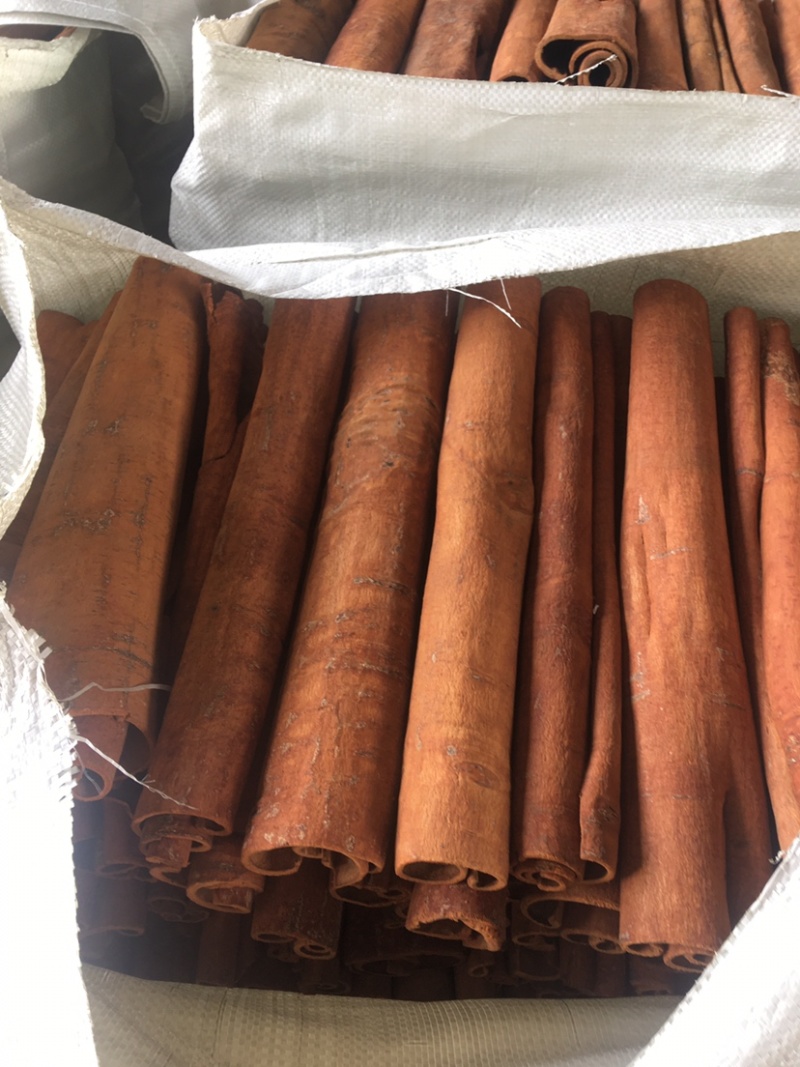 黄通肉桂刮皮黄通烟通桂丝规格齐全广西产地直发足干大量可淡