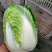 大白菜精品大白菜,黄心大白菜,品质好,价格优。