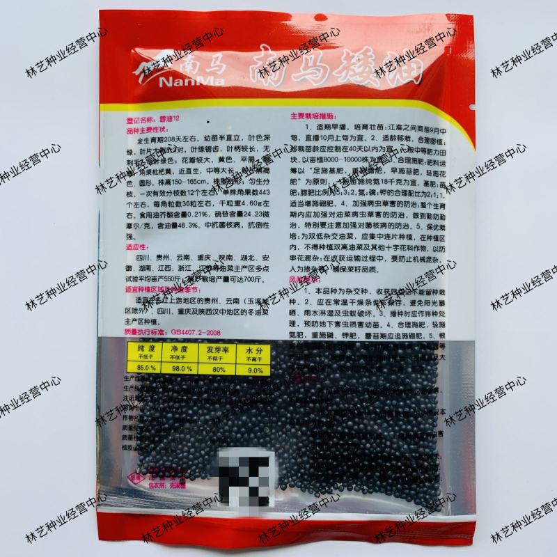 南马矮油油菜种子高产高油抗病抗倒伏农家大田秋季播