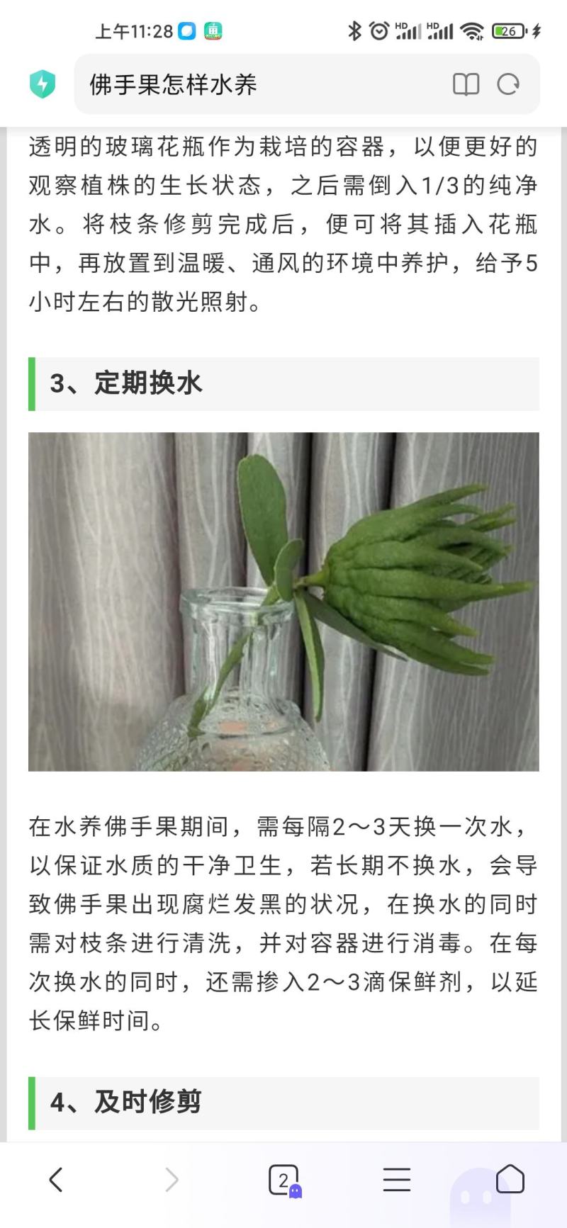 观佛手大量现货耐运输耐存放绿色大佛手产地直发