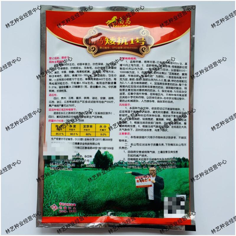 南马矮抗1号油菜种子抗病高产油菜籽种农家秋冬季耐寒