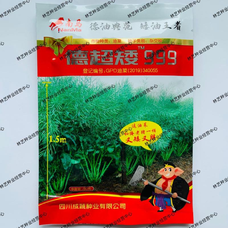 德超矮999油菜籽种子大田矮杆高产出油率高抗倒伏早熟