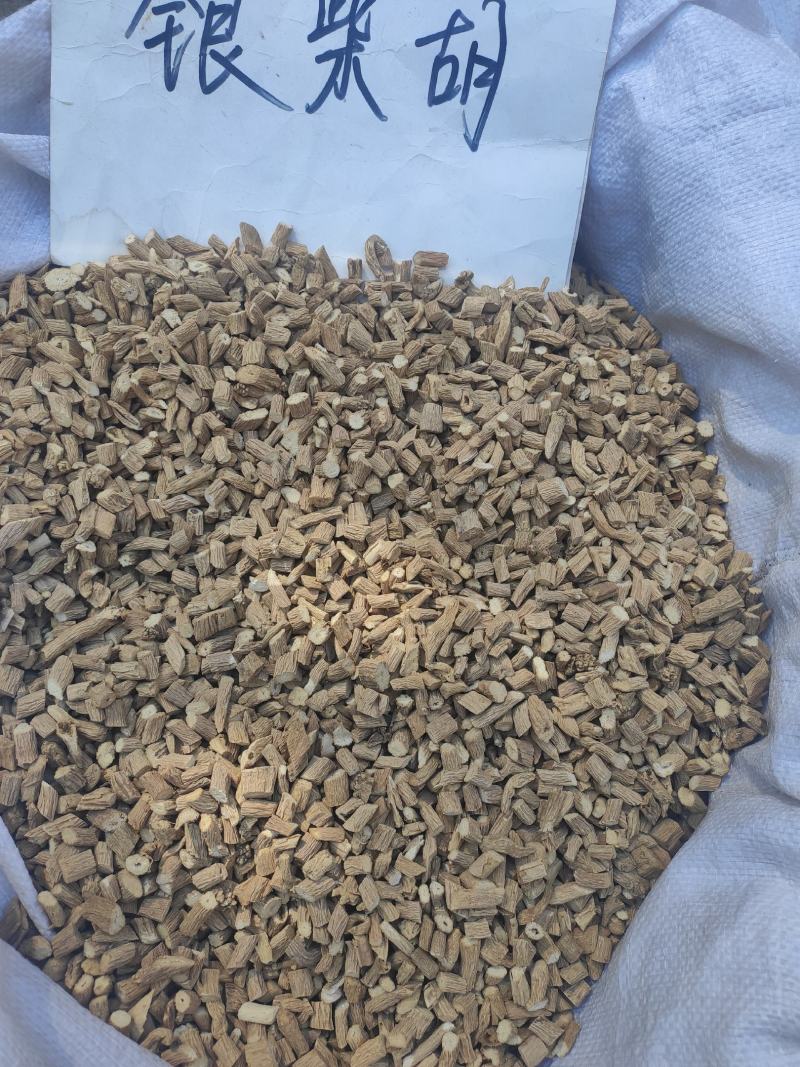 银柴胡干货欢迎选购！量大从优