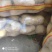土豆大量现货供应