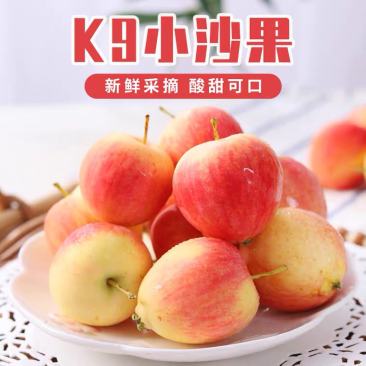 叶赫那拉古镇小沙果下树