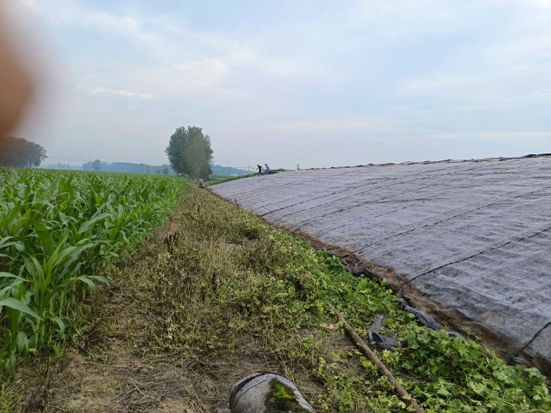 大棚棉被，九成新，