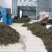 精品泡椒大量供应量大从优一手资源保证品质