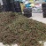 精品泡椒大量供应量大从优一手资源保证品质