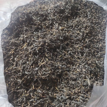 纯手工原种六堡明前茶