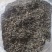 纯手工原种六堡明前茶