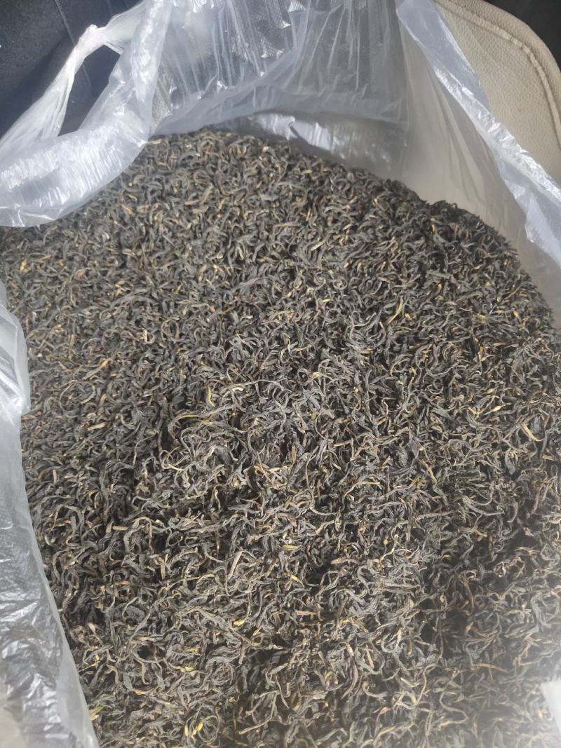 纯手工原种六堡明前茶